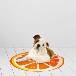 De gros 🌟 Paris prix Matelas Rafraîchissant pour Animaux "Fruit" 60cm Orange 😍 6 De gros 🌟 Paris prix Matelas Rafraîchissant pour Animaux "Fruit" 60cm Orange 😍 -Bon plan Animalerie Soldes 3574380607243 2