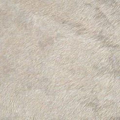 Coupon 🎉 Paris prix Lot de 2 Coussins Chien & Chat "Patchy" 60cm Noisette 🎁 -Bon plan Animalerie Soldes 3574380623823 5 1