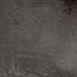 Nouveau 🌟 Paris prix Plaid Polaire pour Chien "Patchy" 100cm Noisette 🔔 -Bon plan Animalerie Soldes 3574380623854 4