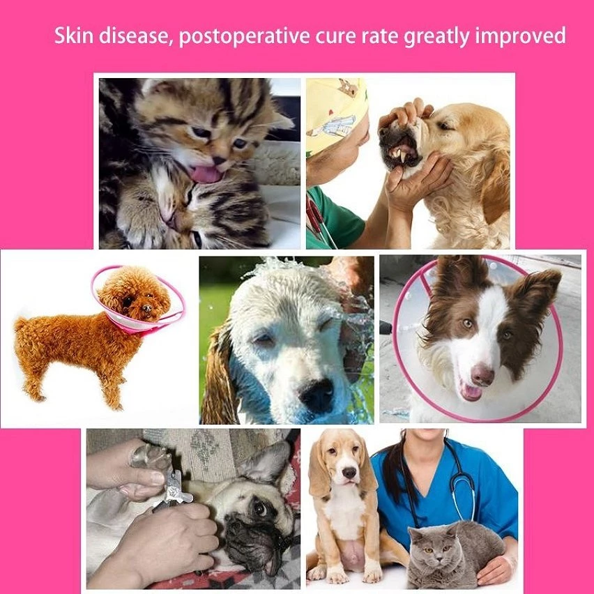 Budget 🌟 Wewoo Pour chien Animal de compagnie rouge Collier Couvre-chef Entonnoir Taille: XL 30-39 cm Collerette plastique anti mordillement 🔥 8 Budget 🌟 Wewoo Pour chien Animal de compagnie rouge Collier Couvre-chef Entonnoir Taille: XL 30-39 cm Collerette plastique anti mordillement 🔥 – Image 6