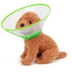 Top 10 😀 Wewoo Pour chien Animal de compagnie vert Collier Couvre-chef Entonnoir Taille: L 26-30cm Collerette plastique anti mordillement 😀