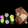 Meilleure affaire 🥰 Wewoo Jouet pour Animaux les familiers Couleur Pet Boules de de chien Animal de compagnie Flashing Ball Glowing élastique de balle en caoutchouc Acoustique 🧨 2 Meilleure affaire 🥰 Wewoo Jouet pour Animaux les familiers Couleur Pet Boules de de chien Animal de compagnie Flashing Ball Glowing élastique de balle en caoutchouc Acoustique 🧨 -Bon plan Animalerie Soldes 3615611133718 1