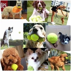 Les meilleures critiques de 😍 Wewoo Jouet pour Animaux de compagnie Toy Training Chien Lance Lanceur de tir à distance Speed Lance de Tennis, Taille: 52 * 19 * 9cm Fournitures 🔥 -Bon plan Animalerie Soldes 3615611145964 6