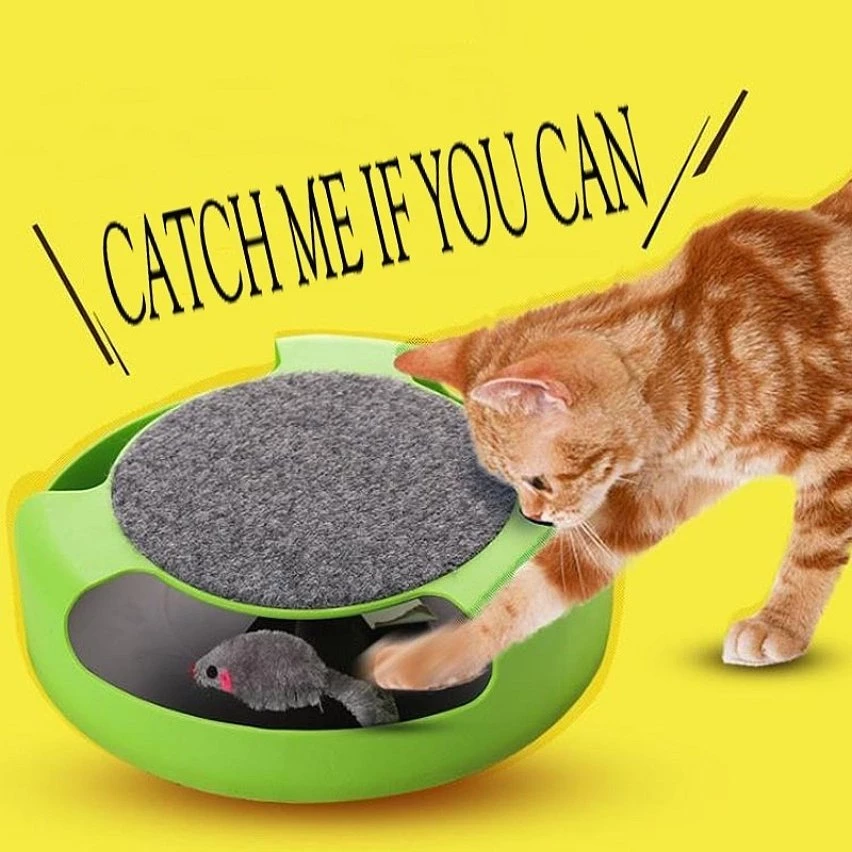 Meilleure vente 🥰 Wewoo Jouet pour Animaux Le plastique de chat d'approvisionnements d'animal familier attrapent les jouets interactifs de plate-forme de souris 🧨 9 Meilleure vente 🥰 Wewoo Jouet pour Animaux Le plastique de chat d'approvisionnements d'animal familier attrapent les jouets interactifs de plate-forme de souris 🧨 – Image 7