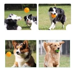 Bon marché 🔥 Wewoo Jouet pour Animaux les grands animaux, moyen, diamètre: 9cm, livraison aléatoire de couleur de d'animal familier boule de hérisson Oren Retriever Mol ⭐ -Bon plan Animalerie Soldes 3615611231865 6