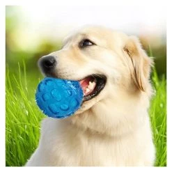 Bon marché 🌟 Wewoo Jouet pour Animaux de sondage d'animal familier balle élastique Oren Retriever Puppy Molar morsure résistant à la dent jouet, taille: 8 * 8 cm, livra ⭐