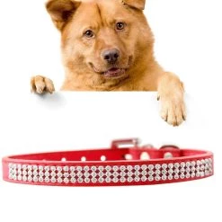 Tout neuf 🔔 Wewoo Collier Chien & Chat rouge pour animaux de compagnie, Taille: S, 1.5 * 37 cm PU diamant clouté Pet Collar produits ✨