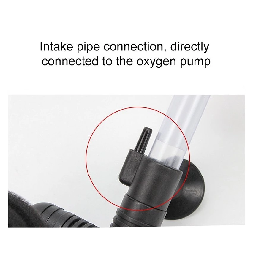 Coupon ⭐ Coton biochimique muet pneumatique double de mur de l'aquarium fixé au mur de 2 PCS 🔔 7 Coupon ⭐ Coton biochimique muet pneumatique double de mur de l'aquarium fixé au mur de 2 PCS 🔔 – Image 5