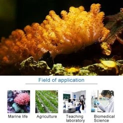 Meilleure vente ❤️ Jebao DP-2 4W Pompe de dosage automatique de péristaltisme 2 canaux de pour réservoir de récif de corail Distributeur de liquide d'alimentationPrise 🌟 -Bon plan Animalerie Soldes 3615612925459 6