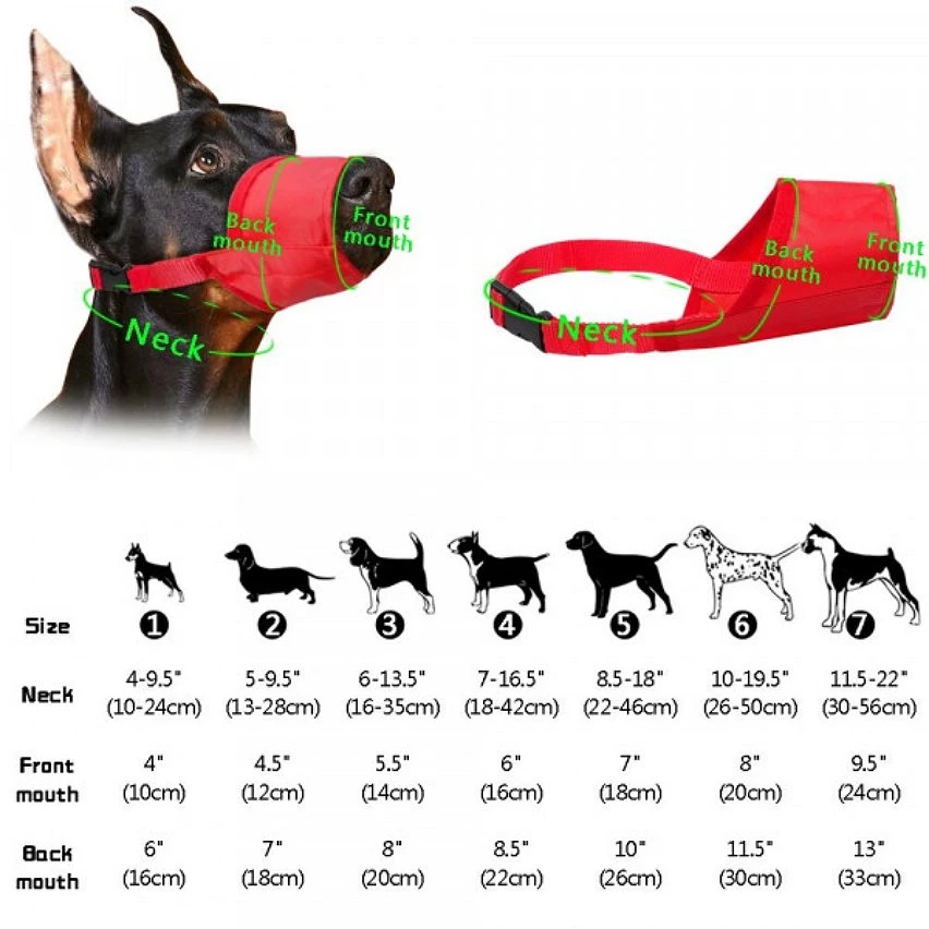 Acheter 👍 Wewoo Muselières chien Fournisseur d'animal muselière nylon respirant confortable doux maille réglable masque de bouche pour animaux empêchent la morsureta 💯 7 Acheter 👍 Wewoo Muselières chien Fournisseur d'animal muselière nylon respirant confortable doux maille réglable masque de bouche pour animaux empêchent la morsureta 💯 – Image 5