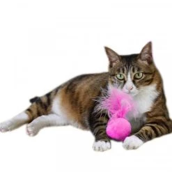 Coupon ❤️ Wewoo Jouet pour Bague Cloche Plumes Tease Cats Toys Peluche Pet Cat Rose 🔥 -Bon plan Animalerie Soldes 3615613561915 4
