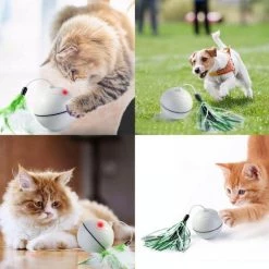 Bon marché 🎁 Wewoo Jouet pour drôle de chat de boule d'instantané de LED rechargeable par USB blanc 🔥 -Bon plan Animalerie Soldes 3615613568648 6