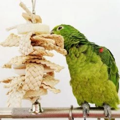 Remise 🤩 Wewoo Jouet pour de morsure de flocon de maïs avec os de seiche et de 😀