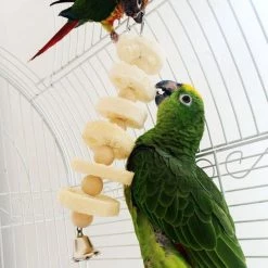 Promo 🔔 Wewoo Jouet pour à cordes molaire avec morsure de loofah chien écureuil couleur primaire 🔥 -Bon plan Animalerie Soldes 3615613569201 4