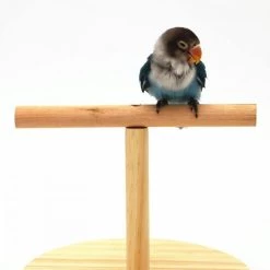 Promo 😍 Wewoo Jouet pour Socle en bois givré perroquet créatiftaille grand bûches 🌟 -Bon plan Animalerie Soldes 3615613570511 4