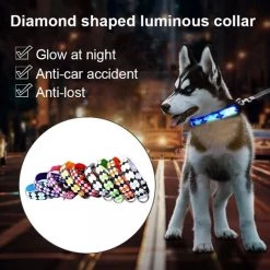 Acheter ⌛ Wewoo Motif à carreaux Rechargeable LED Glow Light Leads Collier pour chien de compagnie petits chiens moyenstaille XL rose 🔔 15 Acheter ⌛ Wewoo Motif à carreaux Rechargeable LED Glow Light Leads Collier pour chien de compagnie petits chiens moyenstaille XL rose 🔔 -Bon plan Animalerie Soldes 3615614434492 7 7