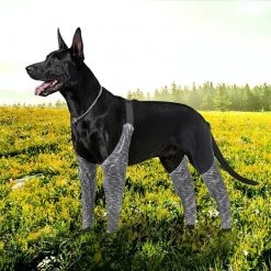 Bon marché ❤️ Wewoo Pantalon d'extérieur à quatre pattes pour chien Couvre-jambe de bretelle imperméable et anti-saleté pour animaux de compagnie, taille: XXL (gris) 👍 15 Bon marché ❤️ Wewoo Pantalon d'extérieur à quatre pattes pour chien Couvre-jambe de bretelle imperméable et anti-saleté pour animaux de compagnie, taille: XXL (gris) 👍 -Bon plan Animalerie Soldes 3615615127072 7 1