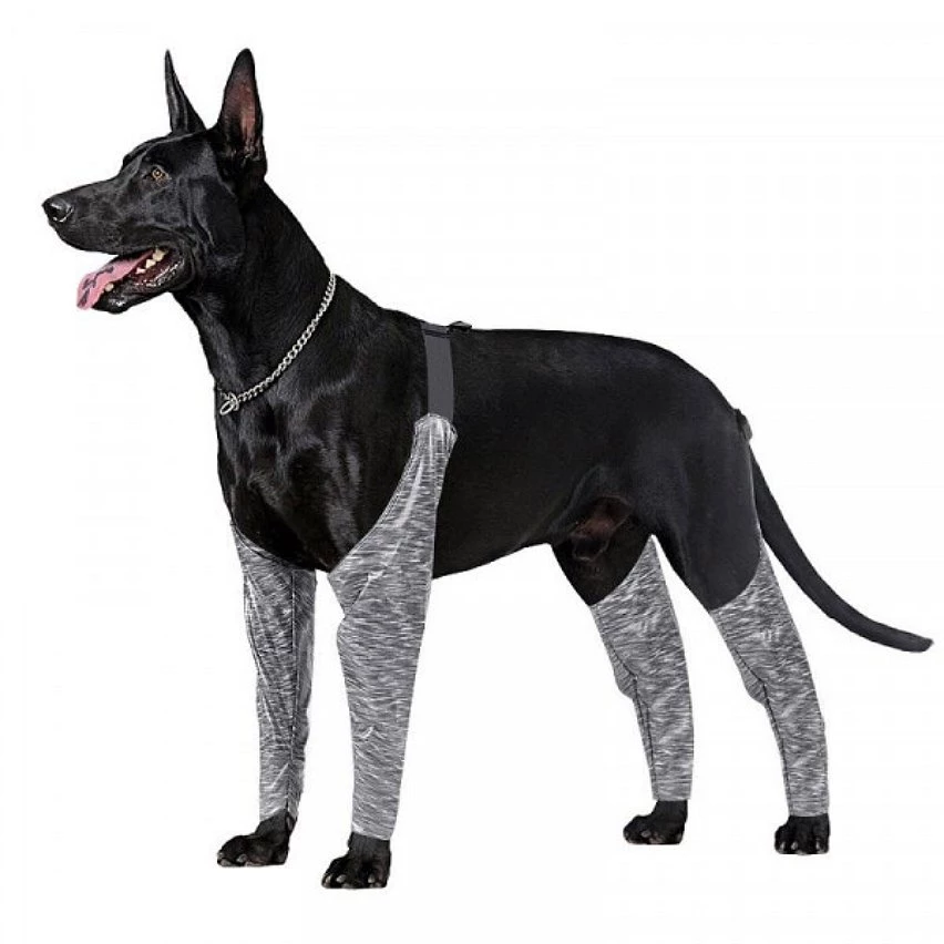 Budget ✨ Wewoo Pantalon d'extérieur à quatre pattes pour chien Couvre-jambe de bretelle imperméable et anti-saleté pour animaux de compagnie, taille: M (gris) 🔥 4 Budget ✨ Wewoo Pantalon d'extérieur à quatre pattes pour chien Couvre-jambe de bretelle imperméable et anti-saleté pour animaux de compagnie, taille: M (gris) 🔥 – Image 2