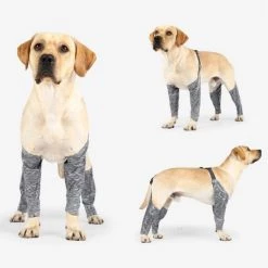 Coupon ⭐ Wewoo Pantalon d'extérieur à quatre pattes pour chien Couvre-jambe de bretelle imperméable et anti-saleté pour animaux de compagnie, taille: S (gris) 💯 -Bon plan Animalerie Soldes 3615615127089 6 3