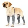Bon marché ❤️ Wewoo Pantalon d'extérieur à quatre pattes pour chien Couvre-jambe de bretelle imperméable et anti-saleté pour animaux de compagnie, taille: XXL (gris) 👍 -Bon plan Animalerie Soldes 3615615127102 1