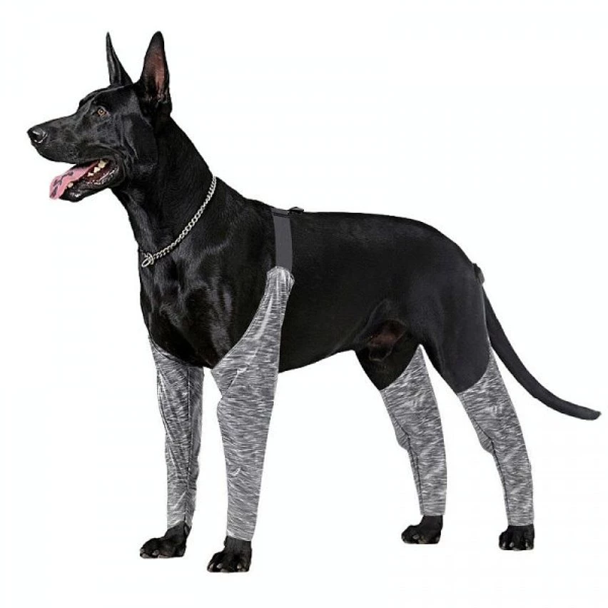 Bon marché ❤️ Wewoo Pantalon d'extérieur à quatre pattes pour chien Couvre-jambe de bretelle imperméable et anti-saleté pour animaux de compagnie, taille: XXL (gris) 👍 4 Bon marché ❤️ Wewoo Pantalon d'extérieur à quatre pattes pour chien Couvre-jambe de bretelle imperméable et anti-saleté pour animaux de compagnie, taille: XXL (gris) 👍 – Image 2