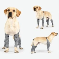 Acheter 👏 Wewoo Pantalon d'extérieur à quatre pattes pour chien Couvre-jambe de bretelle imperméable et anti-saleté pour animaux de compagnie, taille: XL (gris) 💯 -Bon plan Animalerie Soldes 3615615127119 6