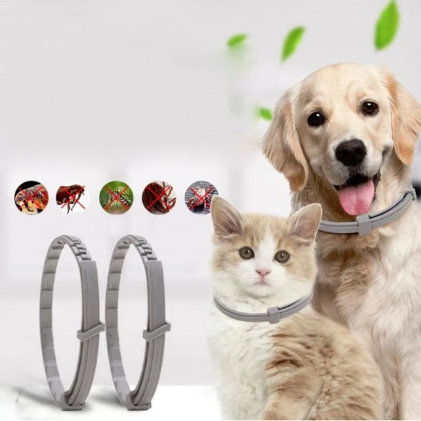 Offres 😀 Wewoo 5 PCS Pet Puces & Anti-Poux Collier Pet In Vitro Insectifuge Anneau, Taille: Chat / 38cm 🤩 7 Offres 😀 Wewoo 5 PCS Pet Puces & Anti-Poux Collier Pet In Vitro Insectifuge Anneau, Taille: Chat / 38cm 🤩 – Image 5