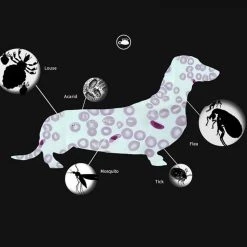 Offres 😀 Wewoo 5 PCS Pet Puces & Anti-Poux Collier Pet In Vitro Insectifuge Anneau, Taille: Chat / 38cm 🤩 15 Offres 😀 Wewoo 5 PCS Pet Puces & Anti-Poux Collier Pet In Vitro Insectifuge Anneau, Taille: Chat / 38cm 🤩 -Bon plan Animalerie Soldes 3615615257533 7