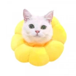 Sortie 😉 Wewoo 2 PCS Pet Supplies Cat Headgear Cat Toy Anneau anti-morsure, L (jaune d'or) 👍