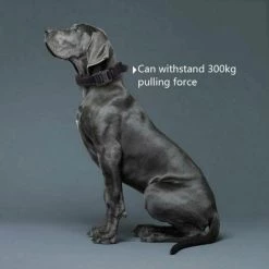 Promo 🤩 Wewoo Collier de traction pour chien de grande et moyenne taille en nylon épaissi, taille: M (noir) 👍 10 Promo 🤩 Wewoo Collier de traction pour chien de grande et moyenne taille en nylon épaissi, taille: M (noir) 👍 -Bon plan Animalerie Soldes 3615615257816 4