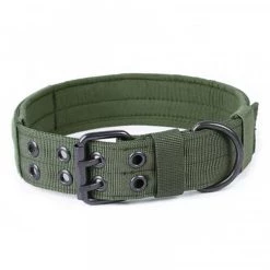 De gros ✨ Wewoo Laisse réglable multifonctionnelle pour chien, entraînement en plein air pour animaux de compagnie, collier résistant à l'usure, taille: M (vert) 🔥 -Bon plan Animalerie Soldes 3615615258196 3