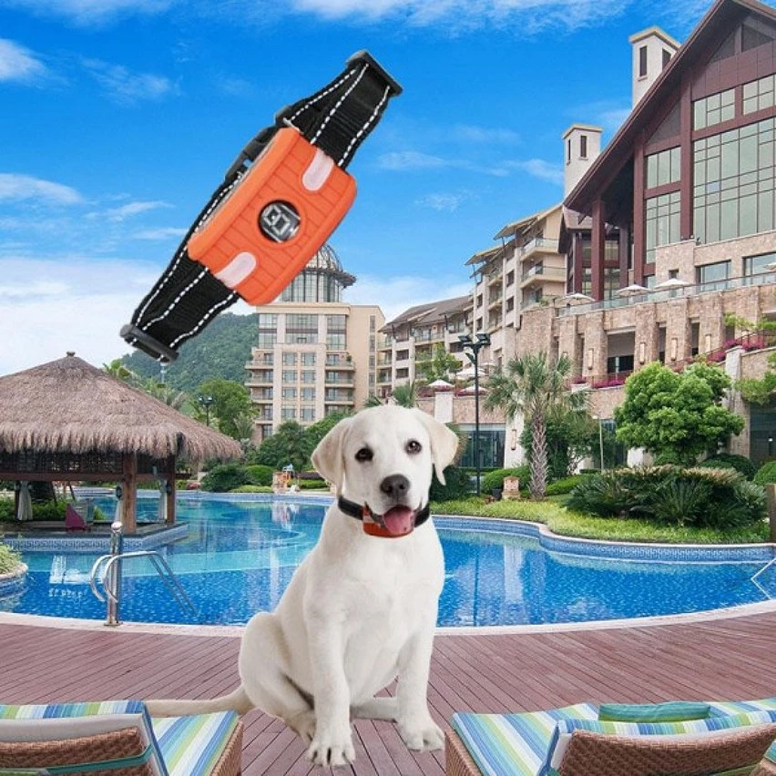 Les meilleures critiques de 🧨 Wewoo RC-302B Pet Bark Stopper Choc Électrique Collier de 👗 dressage pour Chien Anti-interférence Arrêter l'Appel Dispositif (Orange) 🥰 9 Les meilleures critiques de 🧨 Wewoo RC-302B Pet Bark Stopper Choc Électrique Collier de 👗 dressage pour Chien Anti-interférence Arrêter l'Appel Dispositif (Orange) 🥰 – Image 7