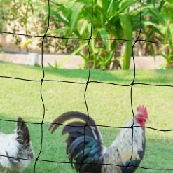 Offres 😍 IDMARKET Kit clôture filet à poules 50 M avec porte 15 piquets double pointes 🔔 -Bon plan Animalerie Soldes 3662897021185 5 1