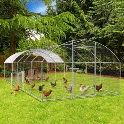 Bon plan Animalerie Soldes -Bon plan Animalerie Soldes 3662897031382 2