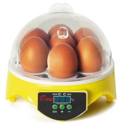 Top 10 ⭐ IDMARKET Couveuse manuelle 7 oeufs incubateur température réglable 👏