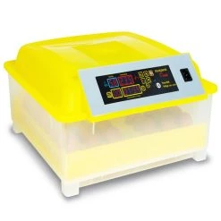 Top 10 😍 IDMARKET Couveuse automatique 48 oeufs incubateur autonome intelligent 😍