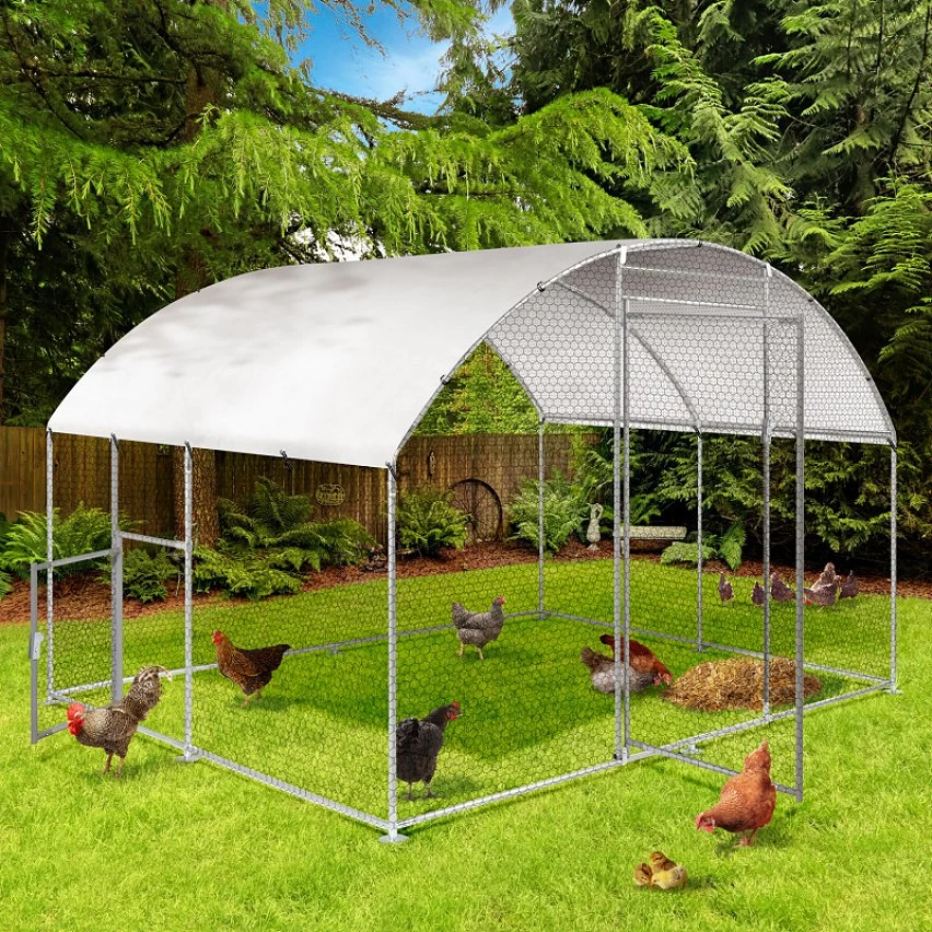 Top 10 👏 IDMARKET Enclos poulailler dôme 7,5 m² parc grillagé 3x2,5 M avec porte latérale ✔️ 7 Top 10 👏 IDMARKET Enclos poulailler dôme 7,5 m² parc grillagé 3x2,5 M avec porte latérale ✔️ – Image 5