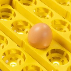 Bon marché 🌟 IDMARKET Couveuse PRO automatique 56 oeufs éclairés incubateur autonome avec LED mire oeufs ⌛ 13 Bon marché 🌟 IDMARKET Couveuse PRO automatique 56 oeufs éclairés incubateur autonome avec LED mire oeufs ⌛ -Bon plan Animalerie Soldes 3662897045341 5