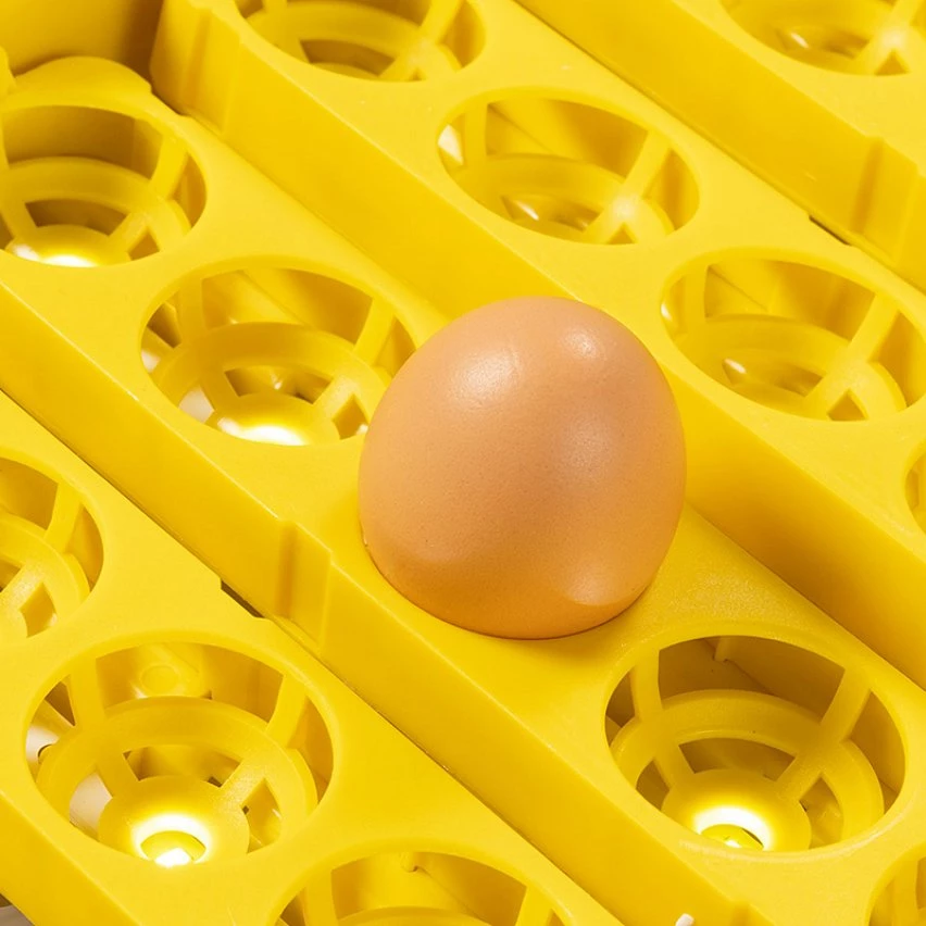 Bon marché 🌟 IDMARKET Couveuse PRO automatique 56 oeufs éclairés incubateur autonome avec LED mire oeufs ⌛ 7 Bon marché 🌟 IDMARKET Couveuse PRO automatique 56 oeufs éclairés incubateur autonome avec LED mire oeufs ⌛ – Image 5