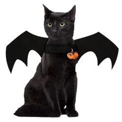 De gros 👍 Totalcadeau Déguisement chien ou chat ailes de chauve-souris costume 🧨