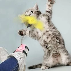 Top 10 💯 Totalcadeau Plumes à agiter jouet pour chat à fixer à une chaussure bleu 🌟 -Bon plan Animalerie Soldes 3664996339093 4