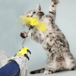 Top 10 💯 Totalcadeau Plumes à agiter jouet pour chat à fixer à une chaussure bleu 🌟 -Bon plan Animalerie Soldes 3664996339093 5