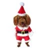 De gros 🔔 Totalcadeau Costume pour chien de Noël déguisement petit chien 💯 -Bon plan Animalerie Soldes 3664996339253 1