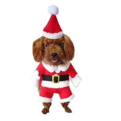 De gros 🔔 Totalcadeau Costume pour chien de Noël déguisement petit chien 💯