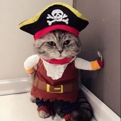 Offres 🔔 Totalcadeau Costume Pirate pour Chat Déguisement avec cape ⭐ -Bon plan Animalerie Soldes 3664996378894 3