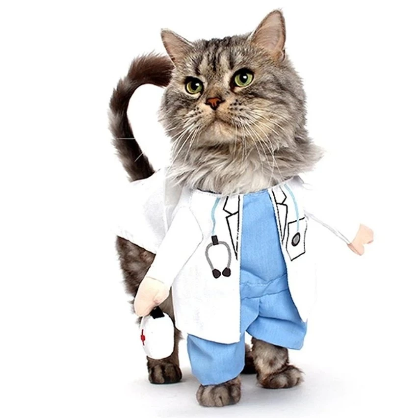 Meilleure vente đ Totalcadeau Costume pour chat et petite chien docteur deguisement vetement animal â 3 Meilleure vente đ Totalcadeau Costume pour chat et petite chien docteur deguisement vetement animal â