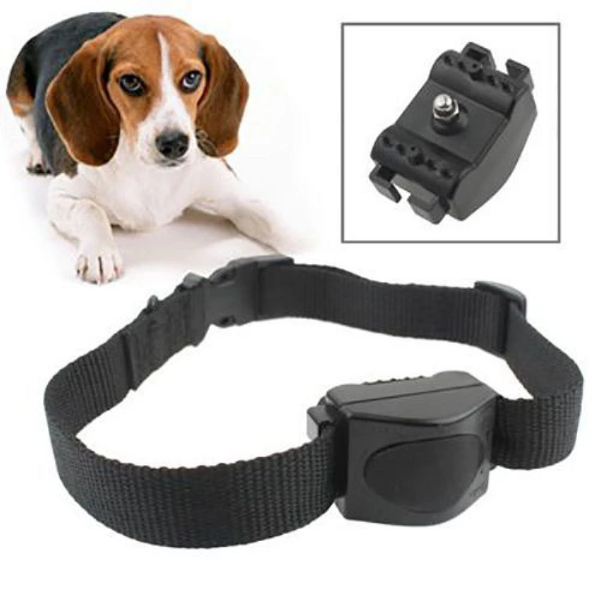 Remise 😉 Collier Anti-Aboiement Étanche Électrique Toute Taille de Chien Vibrant Noir - YONIS 🔔 3 Remise 😉 Collier Anti-Aboiement Étanche Électrique Toute Taille de Chien Vibrant Noir - YONIS 🔔