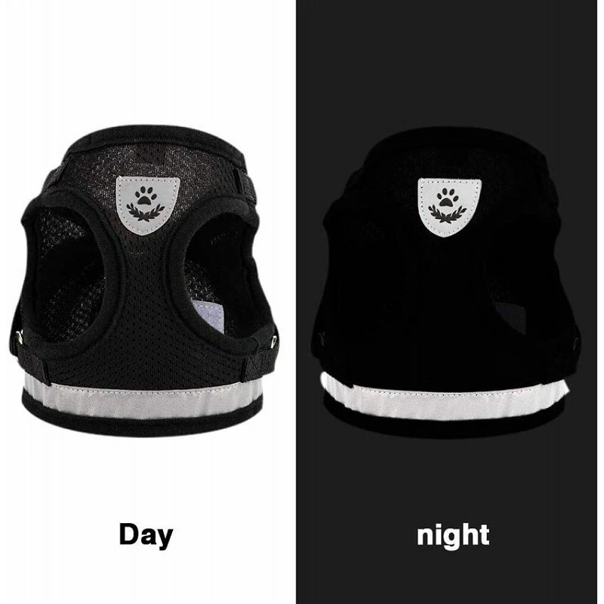 Acheter 💯 Passionimaux59 Harnais Souple Respirant Réfléchissant + Laisse pour Chien Chiot Chat - Gris - XL 🎁 4 Acheter 💯 Passionimaux59 Harnais Souple Respirant Réfléchissant + Laisse pour Chien Chiot Chat - Gris - XL 🎁 – Image 2