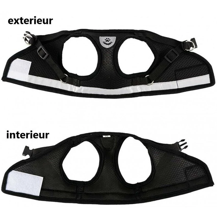 Le moins cher 👍 Passionimaux59 Harnais Souple Respirant Réfléchissant + Laisse pour Chien Chiot Chat - Noir - S 🔥 4 Le moins cher 👍 Passionimaux59 Harnais Souple Respirant Réfléchissant + Laisse pour Chien Chiot Chat - Noir - S 🔥 – Image 2