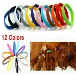 Meilleure affaire 😀 Passionimaux59 12 Colliers D'identification Réglable Mise Pour Chiot Chaton Élevage Couleurs ⌛ 10 Meilleure affaire 😀 Passionimaux59 12 Colliers D'identification Réglable Mise Pour Chiot Chaton Élevage Couleurs ⌛ -Bon plan Animalerie Soldes 3701491702486 2